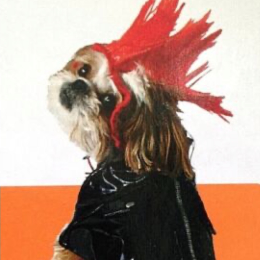 Dog  costume Halloween punk rock - like new